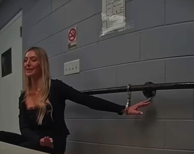 Police Bodycam Shows an Entitled Porsche Driving Woman Dentist Changing Her Story During DUI Stop—Cop’s 1 ‘Hard Question’ Unravels the Truth