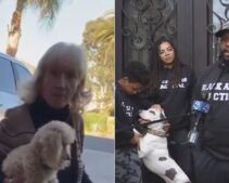 California Woman Caught on Camera Pulling a Stun Gun and Making a Shocking Racist Demand of Black Veteran and His Family—’You Need to…’