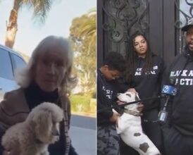 California Woman Caught on Camera Pulling a Stun Gun and Making a Shocking Racist Demand of Black Veteran and His Family—’You Need to…’