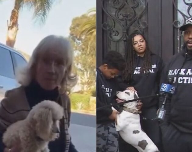 California Woman Caught on Camera Pulling a Stun Gun and Making a Shocking Racist Demand of Black Veteran and His Family—’You Need to…’