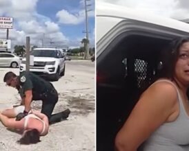 Florida Police Bodycam Shows Erratic Woman Arrested for Blocking Boyfriend’s Car When He’s Leaving for Work—’She Just Does What…’