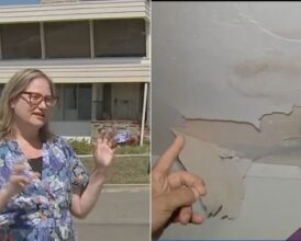 California Mom ‘Left With No Viable Options’ as Insurance Company Threatens to Cut Her Off Despite Being a Wildfire Victim—’I Have 3 Children…’