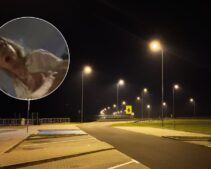 White Woman Allegedly Runs Over Asian Man, Then Threatens to Call ICE on Him