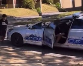 Woman Steals Police Car on Camera and Reverses Into a Tree During a Stop—’We Deserve the Video of Them Explaining This’