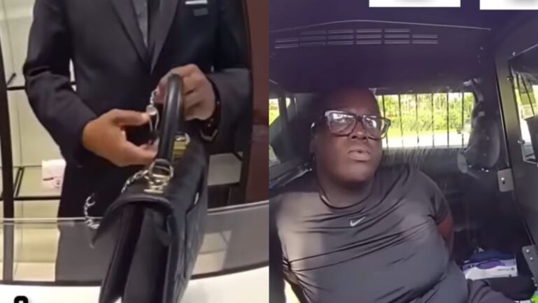 Police arrested a Florida mall thief