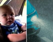 Kentucky Couple Thought 11-Month-Old ‘Was a Dog’ After Spotting Baby Crawling in Rain-Soaked Roadway Traffic—Grandmom Ends in Cuffs