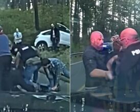 Police Dashcam Shows Washington Driver’s Near-Fatal Attack on Female Cop After Highway Crash—Judge Sets $10K Bond Despite Gun Grab Attempt