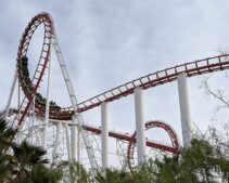 Six Flags Employee of the Month Files $20M Lawsuit Over Racism—’Canceled’ Holiday Party Claim and ID Stop Revelation Becomes Key Point