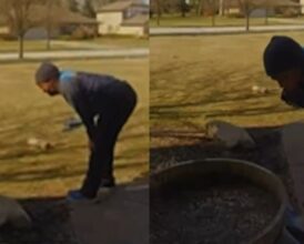 Doorbell Cam Shows ‘Unexpected Thief’ Swiping Amazon Package Seconds After Delivery—Driver Can’t Stop Laughing Once She Sees Who It Is