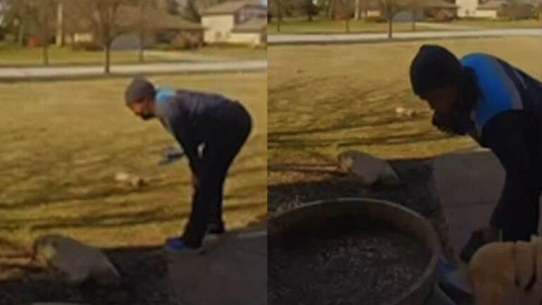Amazon Driver Encounters the ‘Cutest Package Thief’ Ever—Doorbell Camera Reveals Why She Could Only Laugh