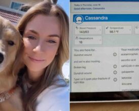 San Diego Life Coach Shot and Ejected During Mexico Carjacking—Her Dog Unknowingly Inspires New Dream Amid Tragedy