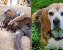 Florida Man Takes 1,000-Mile Journey to Reunite with Late Father’s Beloved Beagle—‘I Saw Those Eyes’