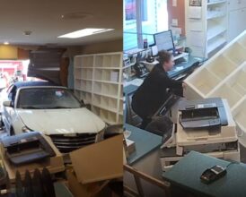 Surveillance Cam Shows Terrifying Moment Driver Plows Into North Carolina Animal Hospital—Owner’s Admission Explains Why Everyone Survived Miraculously