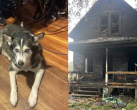 Husky’s Strange Bark Wakes Nebraska Man in the Middle of the Night—Seconds Later, He Sees Fire