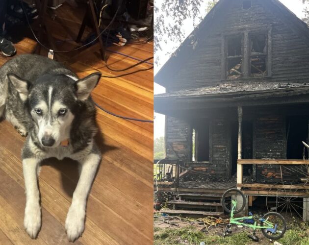 Husky’s Strange Bark Wakes Nebraska Man in the Middle of the Night—Seconds Later, He Sees Fire