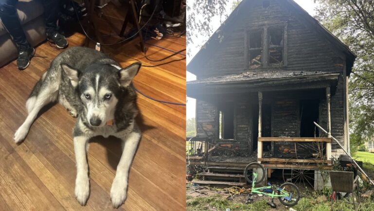 Nebraska man’s dog saved his life from house fire