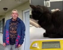 Florida Dad Charged With Animal Cruelty After Daughter Reveals He Killed Kittens Every Time She ‘Acted Up’—’What About Charges for…’