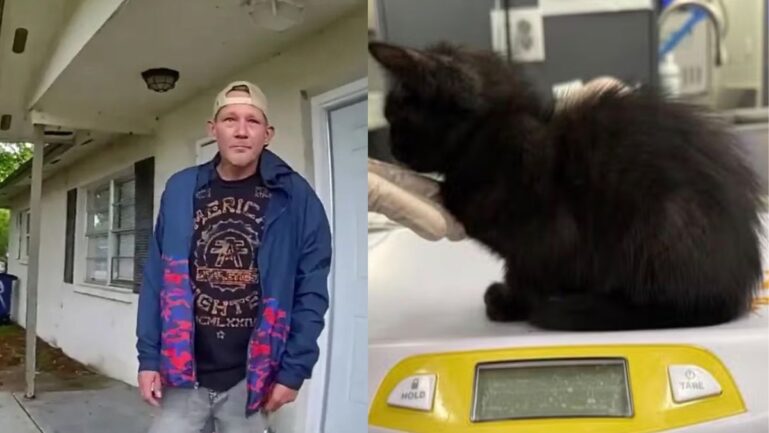 14-year-old reported her Florida father for abusing kittens
