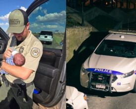 Arizona Police Only Had Hours to Help Mom Find the 11-Day-Old Baby After Dad Kidnaps and Flee—’I Couldn’t Imagine…’