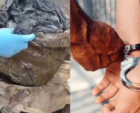 Human Skull Found in Drain Reopens 2020 Missing-Man Case—Police Made Arrest Six Years Later