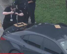 Florida Delivery Driver Fights Back During Attempted Robbery—Alleged Gunman Dies, Accomplice Flees