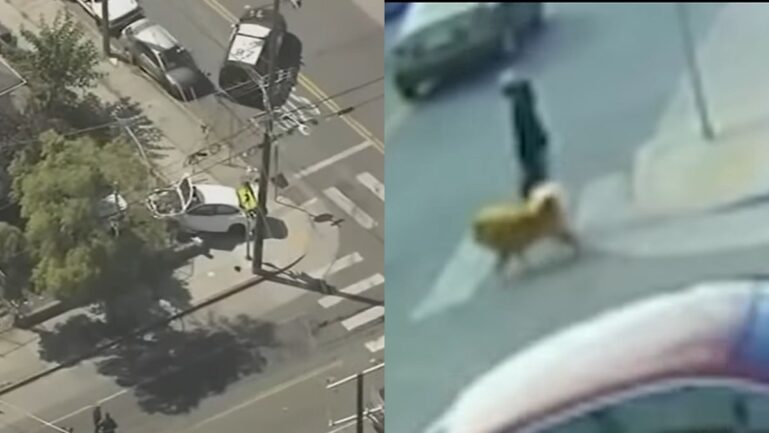 Oakland car crash by brothers aged 4 and 7