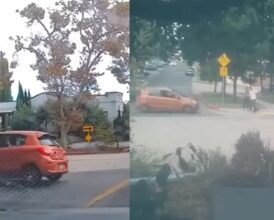 Los Angeles Uber Dashcam Shows Driver Charging at Couple Walking Their Dog—Woman Victim Reveals ‘He Could Be Still…’