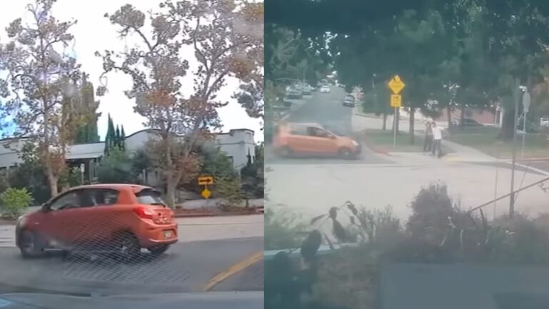 driver in LA attempts to run couple over while they were walking their dog