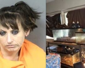 Florida Bodycam Reveals Nightmare Home with 300+ Rodents, Snakes and Feces—Police Found Child Sleeping on Roach-Covered Mattress