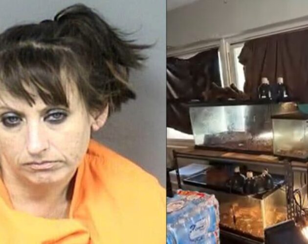 Florida Bodycam Reveals Nightmare Home with 300+ Rodents, Snakes and Feces—Police Found Child Sleeping on Roach-Covered Mattress